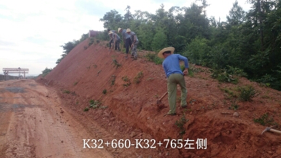 长沙东日园林工程有限公司,长沙园林绿化工程,长沙绿化养护管理